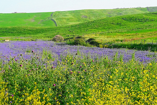Strada accanto Monte Altesina