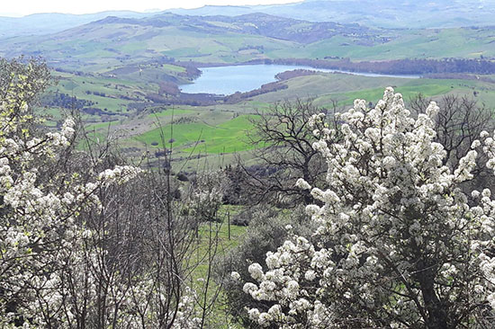 Lago Nicoletti